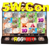 R66 Bet